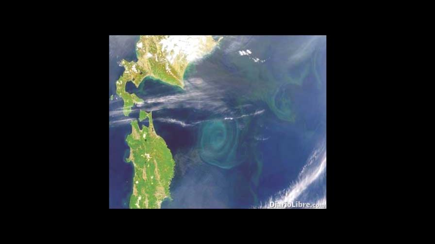 Toxina de alga marina amenaza ecosistemas Toxina de alga marina amenaza ecosistemas