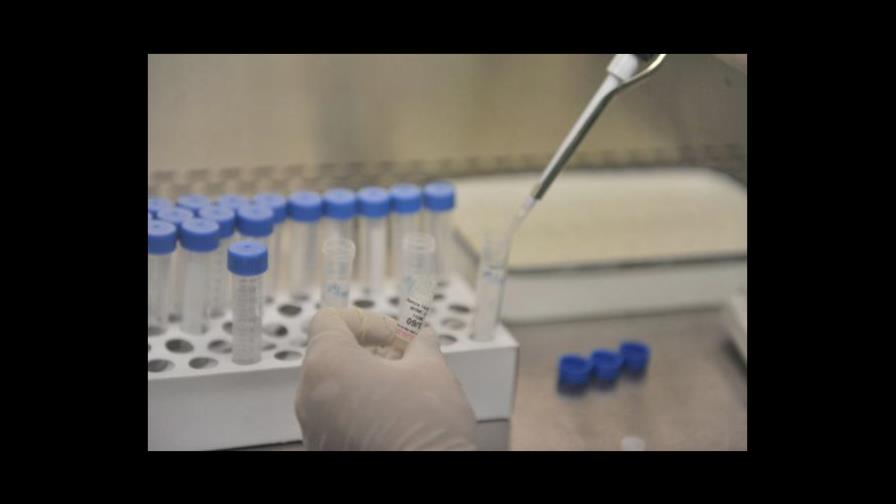 OMS confirma vacuna contra gripe A no estará lista antes de otoño