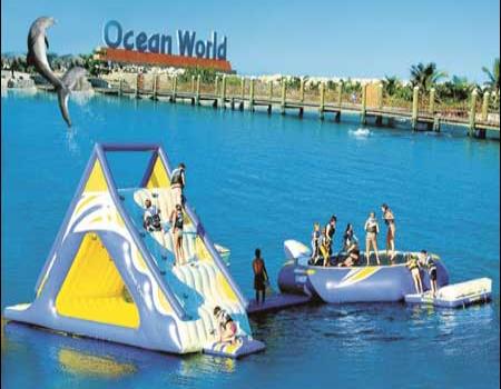 Un verano diferente en el Ocean World Park Un verano diferente en el Ocean World Park