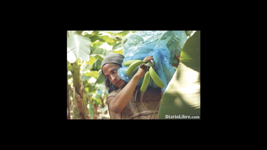 Rudo y cursi, la diferencia entre pasión y talento