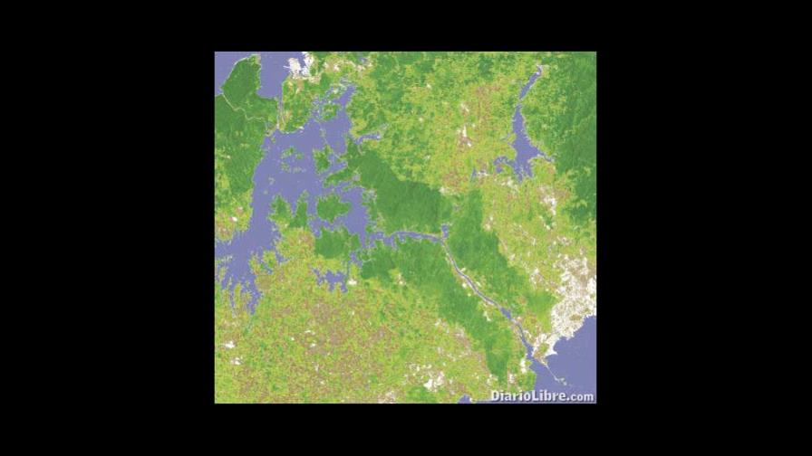 La FAO vigilará los bosques del planeta vía satélite