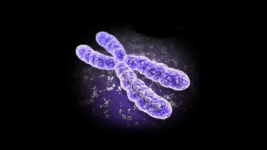 Padre genoma admite que crear vida artificial es más difícil de lo esperado