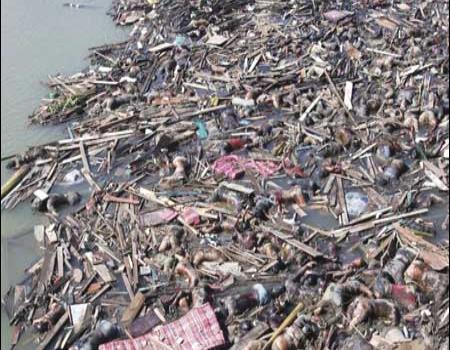 Furia de la naturaleza