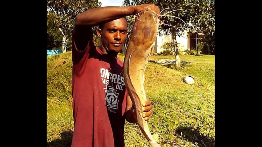 El consumo del Pez Gato no es peligroso para la salud