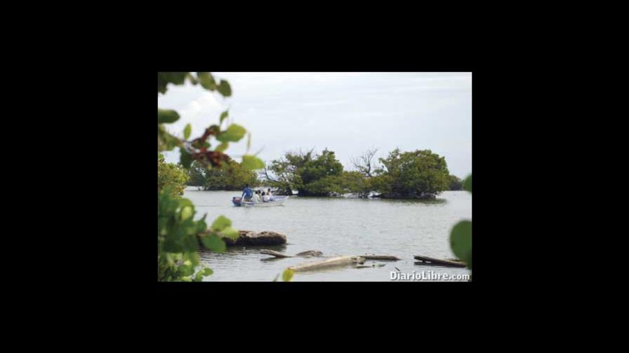 Nigua tendrá parque ecológico Los Charcos