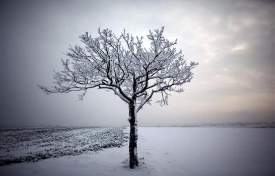 Nieve en Europa