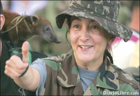 2008 - El mundo en crisis 2008 - El mundo en crisis