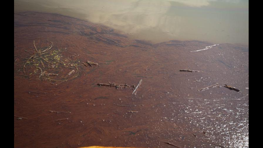 BP planea quemar petróleo en la superficie del Golfo