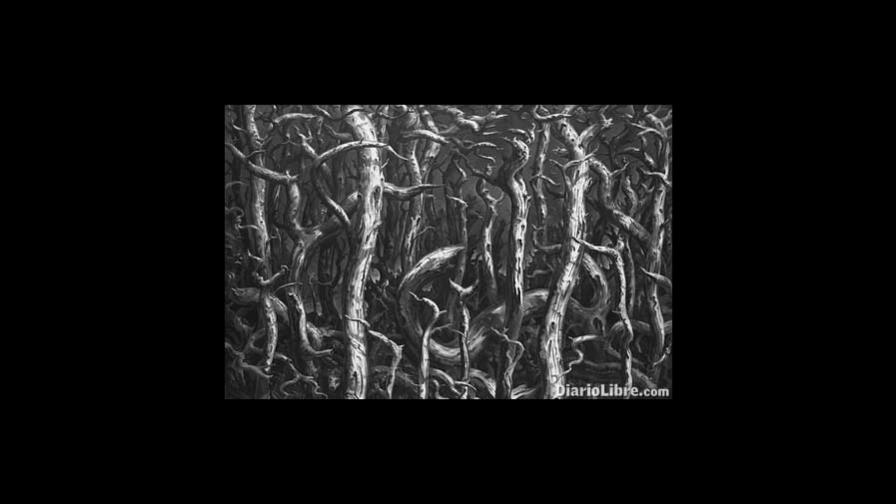 Arte dominicano en Miami de la mano de Lyle O. Reitzel Arte dominicano en Miami de la mano de Lyle O. Reitzel