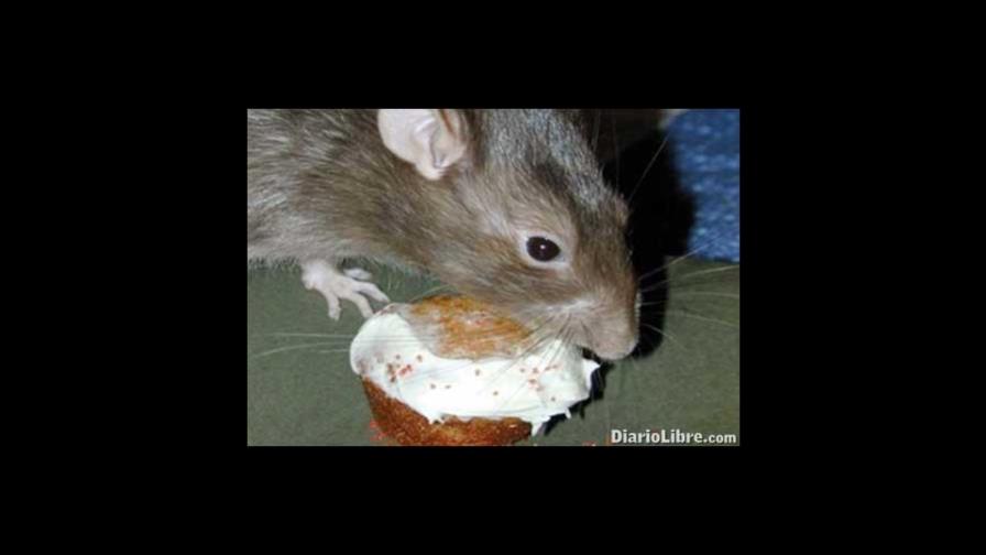 HCP.-Hablando con el pediatra. HCP.-Hablando con el pediatra.