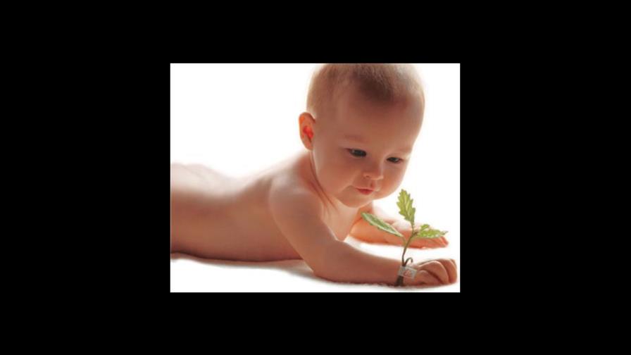 En alerta: Los bebés y el humo de segunda mano