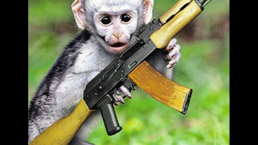 Talibanes entrenan monos para atacar fuerzas de EE.UU.