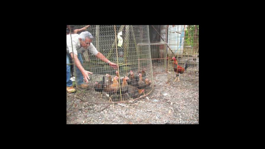 La traba Diamante EE imbatible tusa y barba