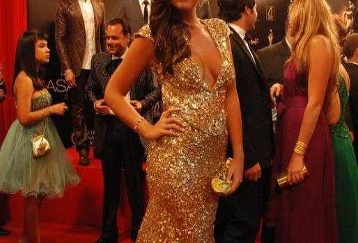 Imágenes de la Alfombra Roja