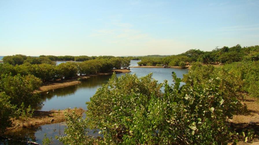 Medio Ambiente invita a visitar el Parque Ecológico Humedales de Nigua