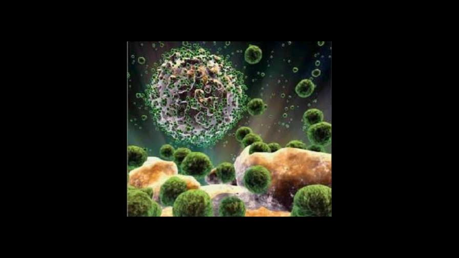 Descubren virus precursor del VIH vivió en monos hace 32,000 años