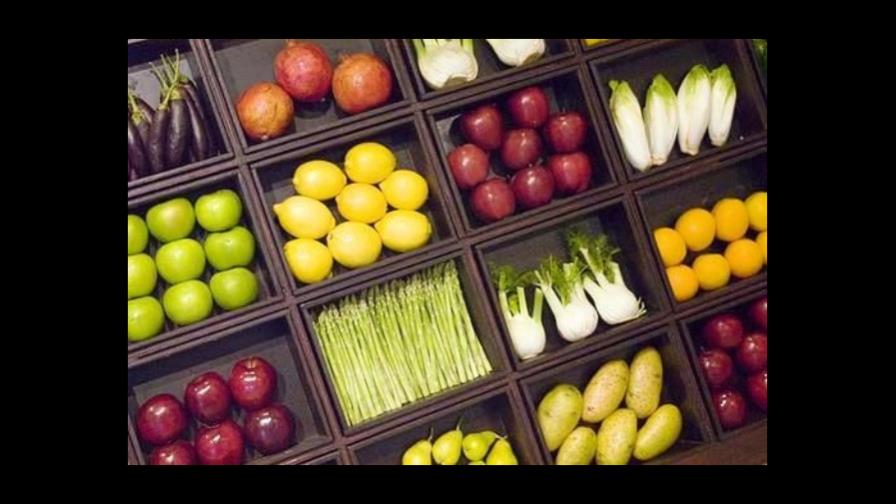 Nutrientes esenciales durante 9 meses: Aprende a combinar los grupos para una sana alimentación Nutrientes esenciales durante 9 meses: Aprende a combinar los grupos para una sana alimentación