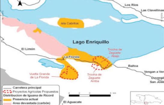 Alerta roja para las iguanas del Lago Enriquillo