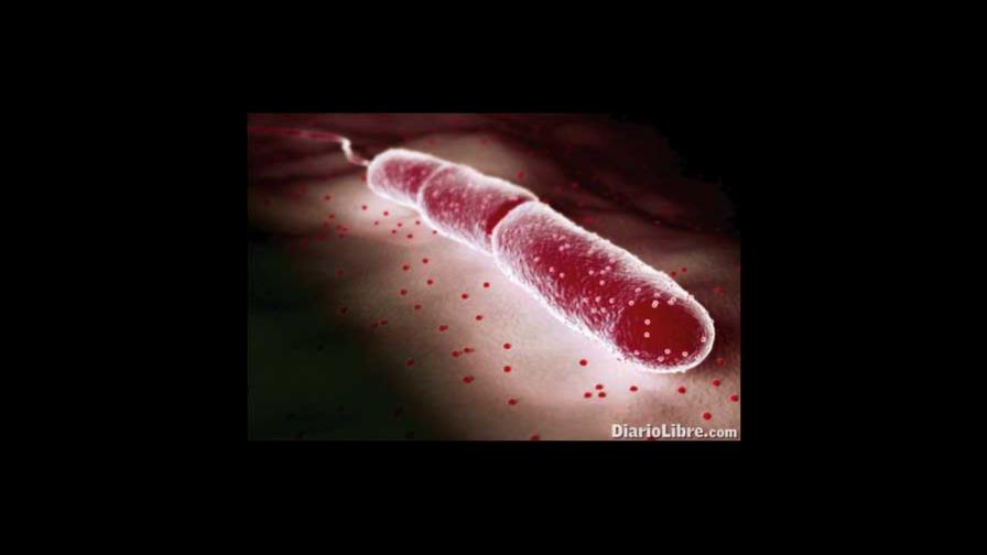 HCP.-El cólera no es el colerín
