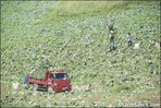 Banco Agrícola baja a 12% tasas interés Banco Agrícola baja a 12% tasas interés