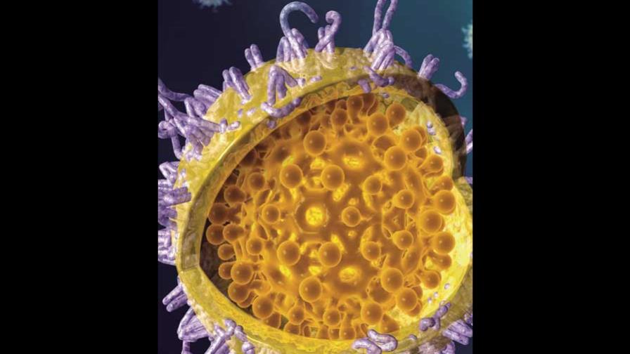Una enfermedad llamada hepatitis