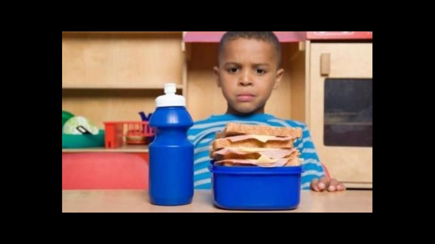 ¿No quiere su lonchera? 10 razones por las que siempre dicen no