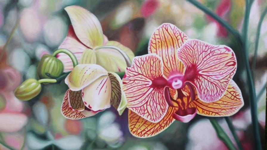 Inaugurarán exposición pictórica El Color de mi Naturaleza Inaugurarán exposición pictórica El Color de mi Naturaleza