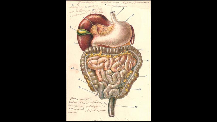 Después de las lluvias aumentan las afecciones digestivas