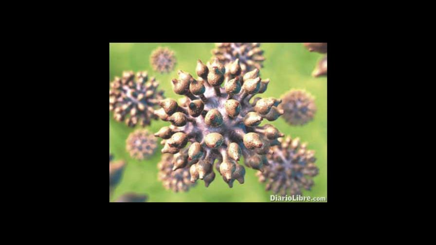 Para conocer sobre el virus del Papiloma Humano