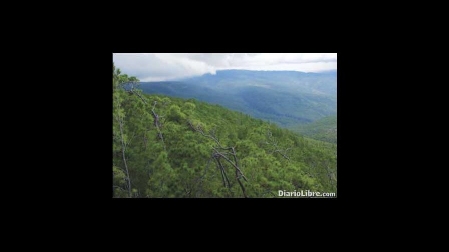 La Sierra de Bahoruco, nido de especies únicas La Sierra de Bahoruco, nido de especies únicas