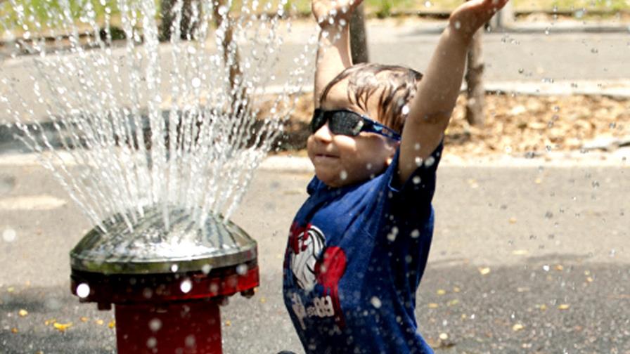 Ola de calor 2011 mató 19 en Nueva York