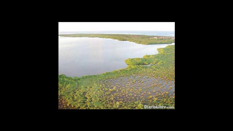 Trabajan en el rescate de la laguna de Bávaro