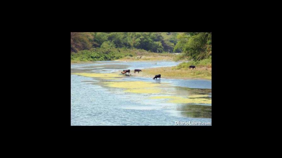 Sea consciente al descargar el inodoro durante la sequía