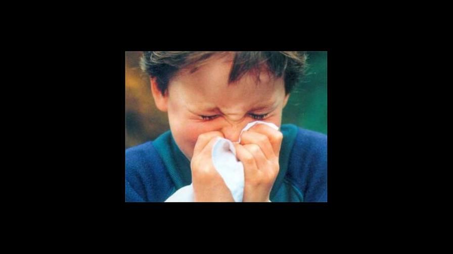 Remedios naturales para la congestión