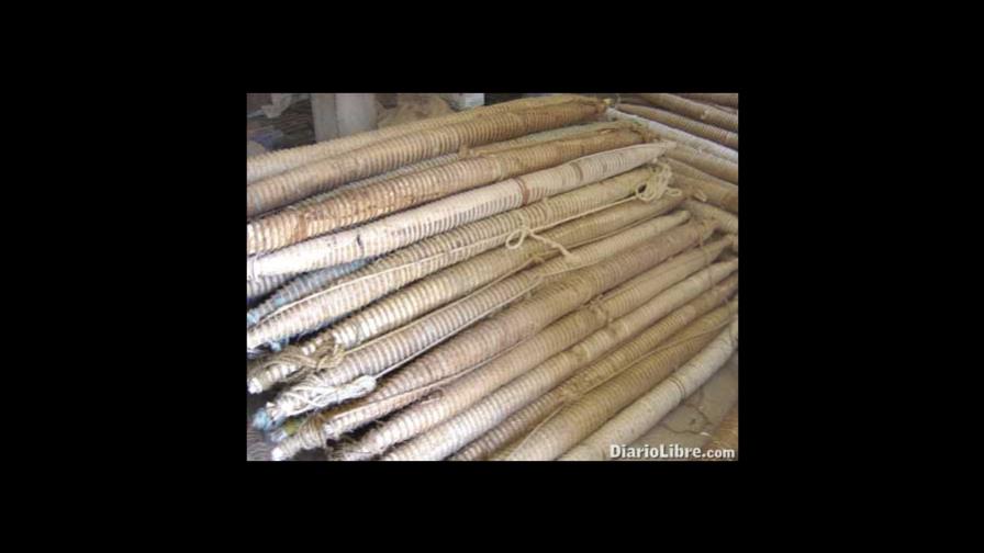 Andullos dejan $275MM a Azua