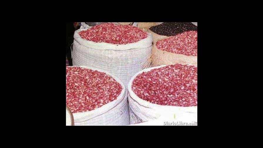 Habichuelas se venden a RD$27.50 en el campo