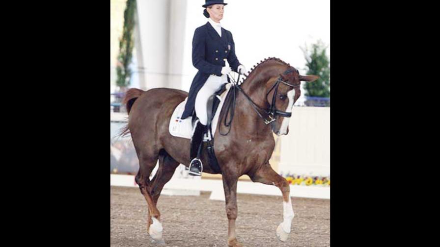Adiestramiento acapara la atención de publicaciones
