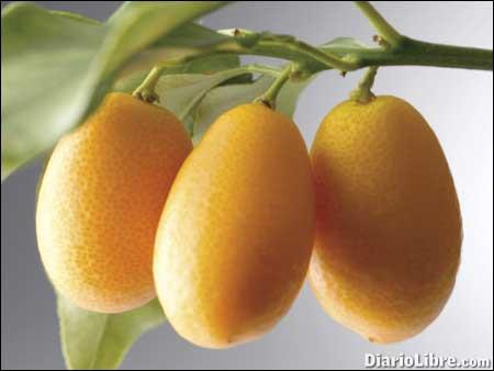 Frutas rarísimas del más allá