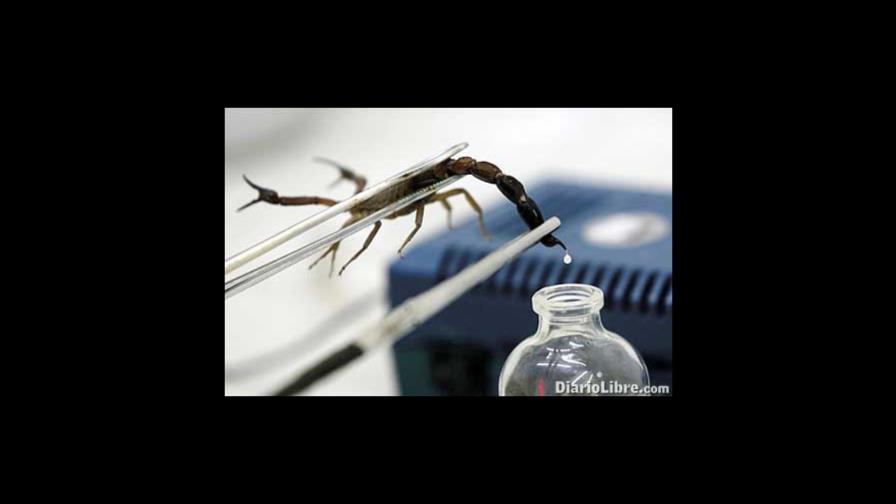 El alacrán azul contra el cangrejo