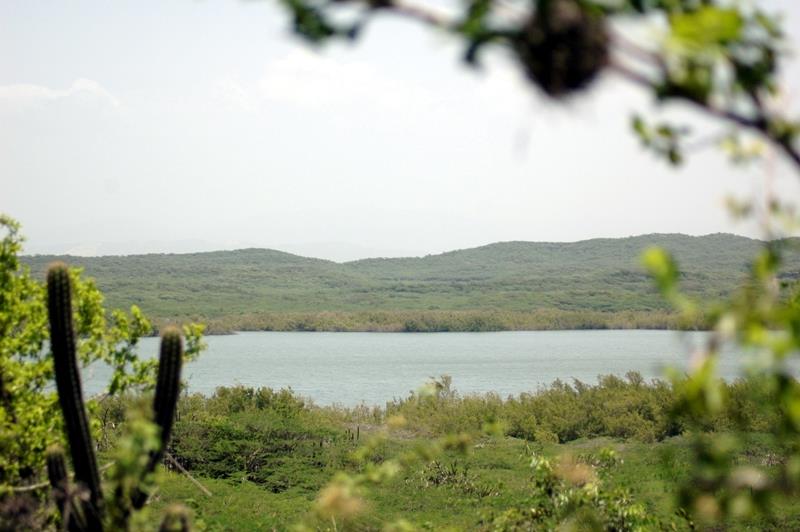 Laguna de Cabral, humedal de importancia internacional