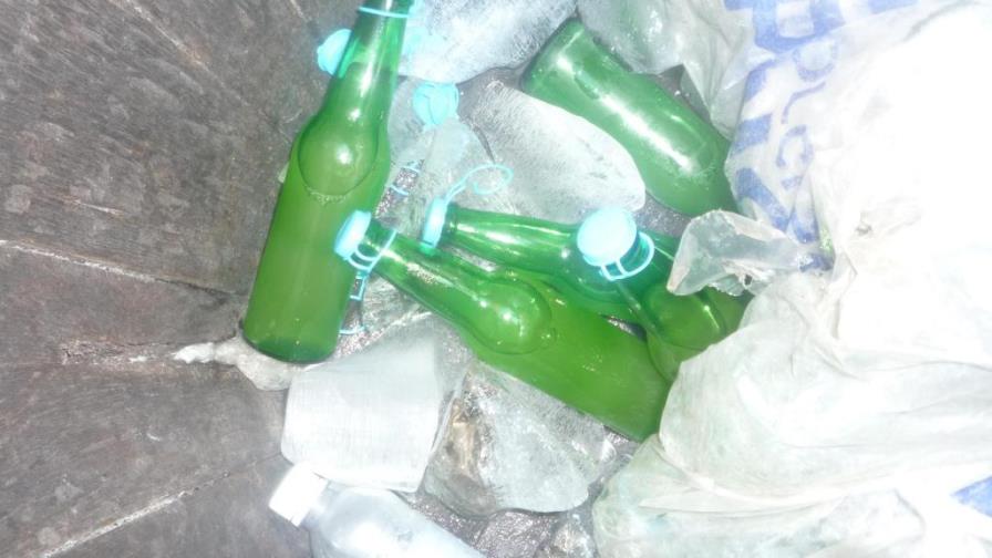 Mabí de bohuco, primera patente biotecnológica del país