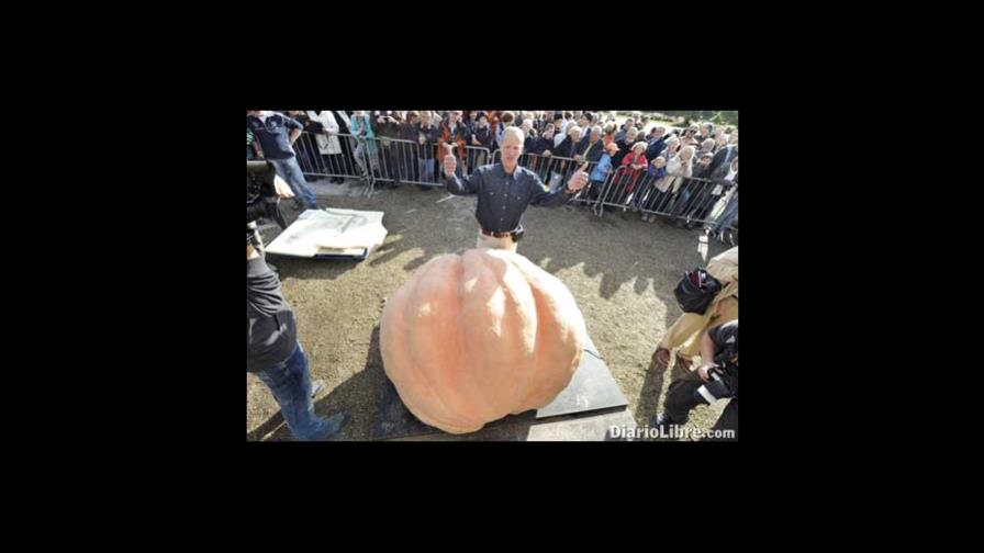 La calabaza más grande de Europa
