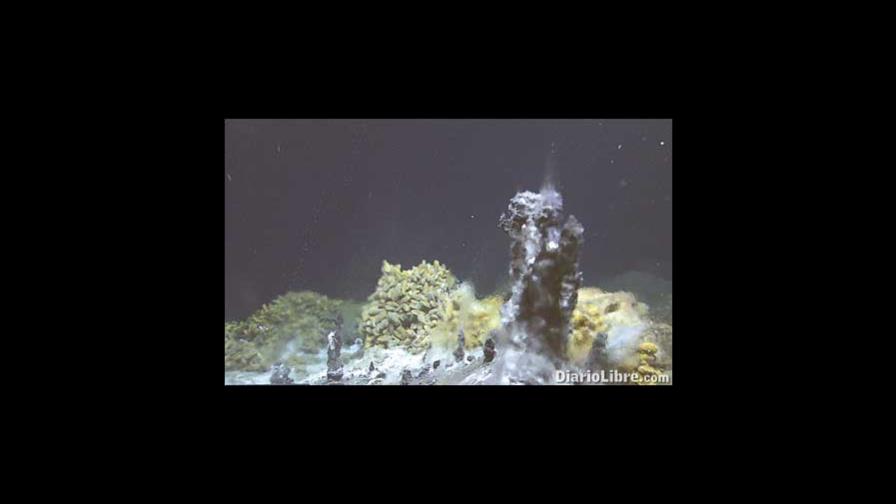 Bacterias que utilizan hidrógeno