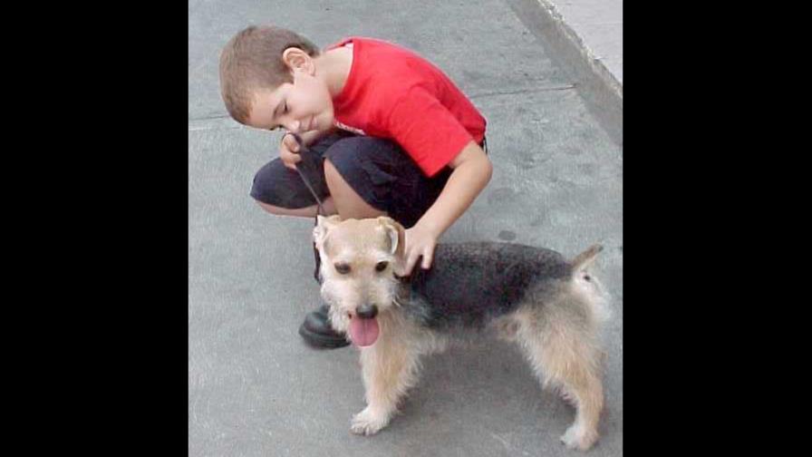 Las personas con mascota están mejor física y psíquicamente