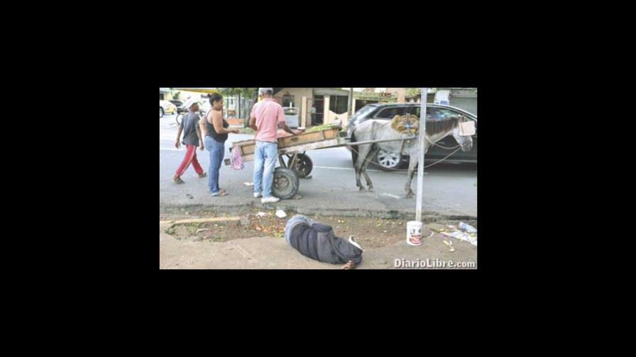 El Mural de DL - Rocinante siglo XXI en S. D. El Mural de DL - Rocinante siglo XXI en S. D.