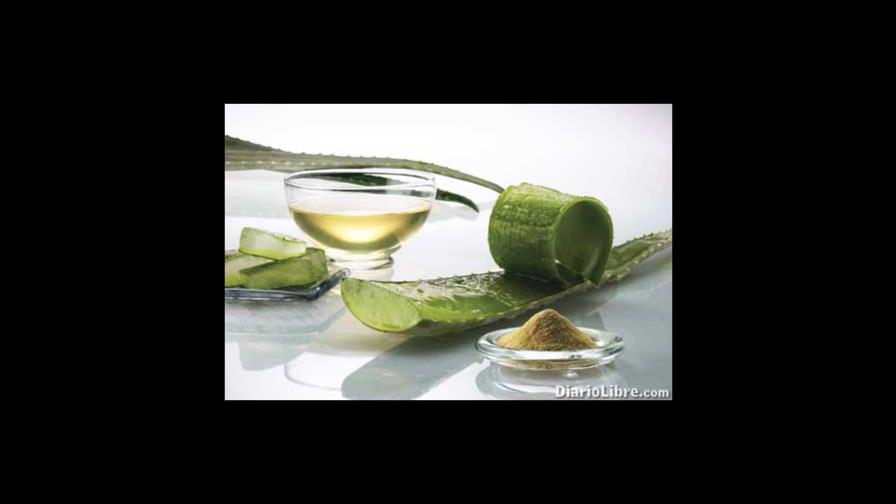 La sábila: un regalo del Cielo La sábila: un regalo del Cielo