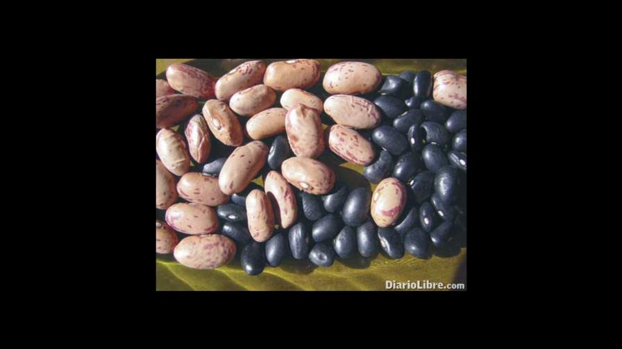 Las habichuelas, un alimento súper poderoso