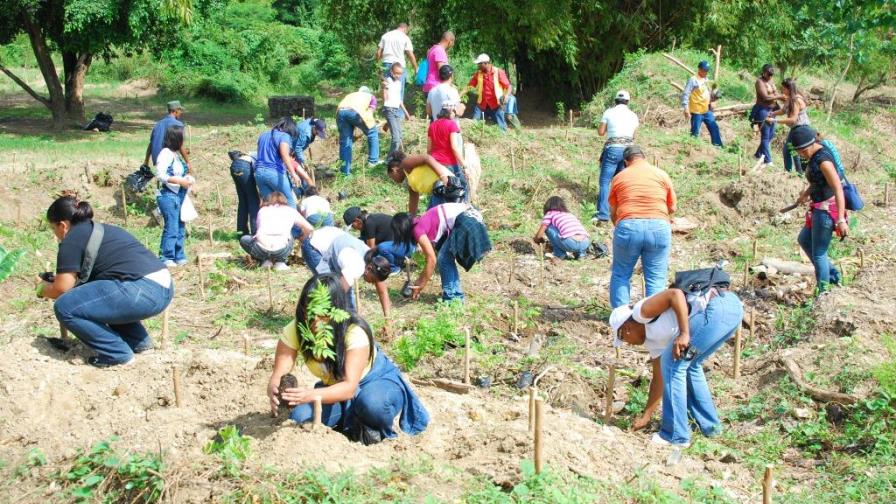 Quisqueya Verde planta cinco millones de árboles