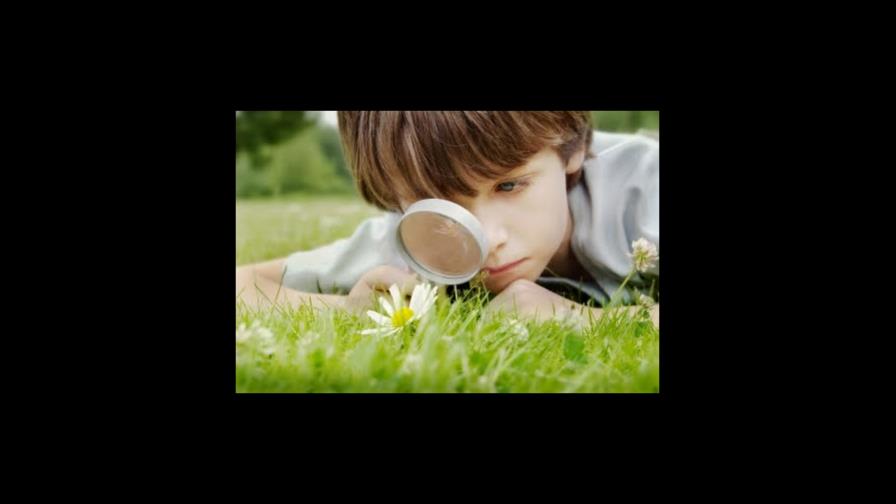 Cómo criar hijos conservacionistas Cómo criar hijos conservacionistas