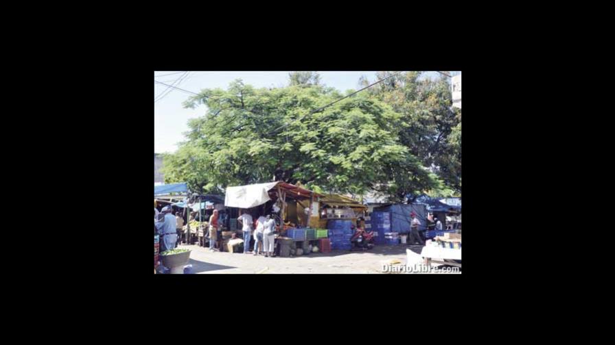 Vendedores ocupan parque Juan Antonio Alix, en Santiago